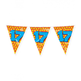 17 Jaar Vlaggenlijn Gekleurd 10m